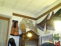 IMG_1266